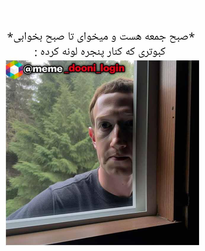 کبوتر کنار پنجره اول صبحی
